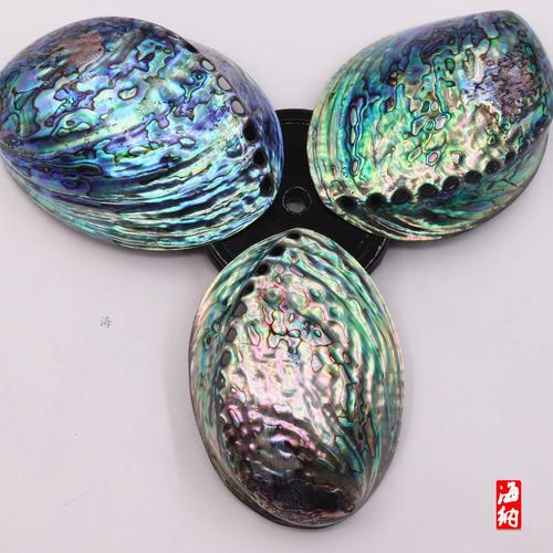 鲍鱼壳里的山海经 当一件食余之物，成为收纳记忆的诗意容器